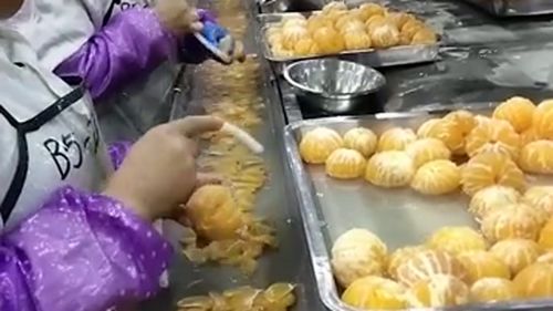 當下食品廠的操作間,竟然都不戴口罩,看來這個食品廠開不長了