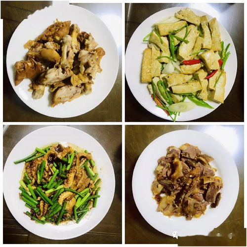 5月14日山東中亞旅行社日程播報(bào)